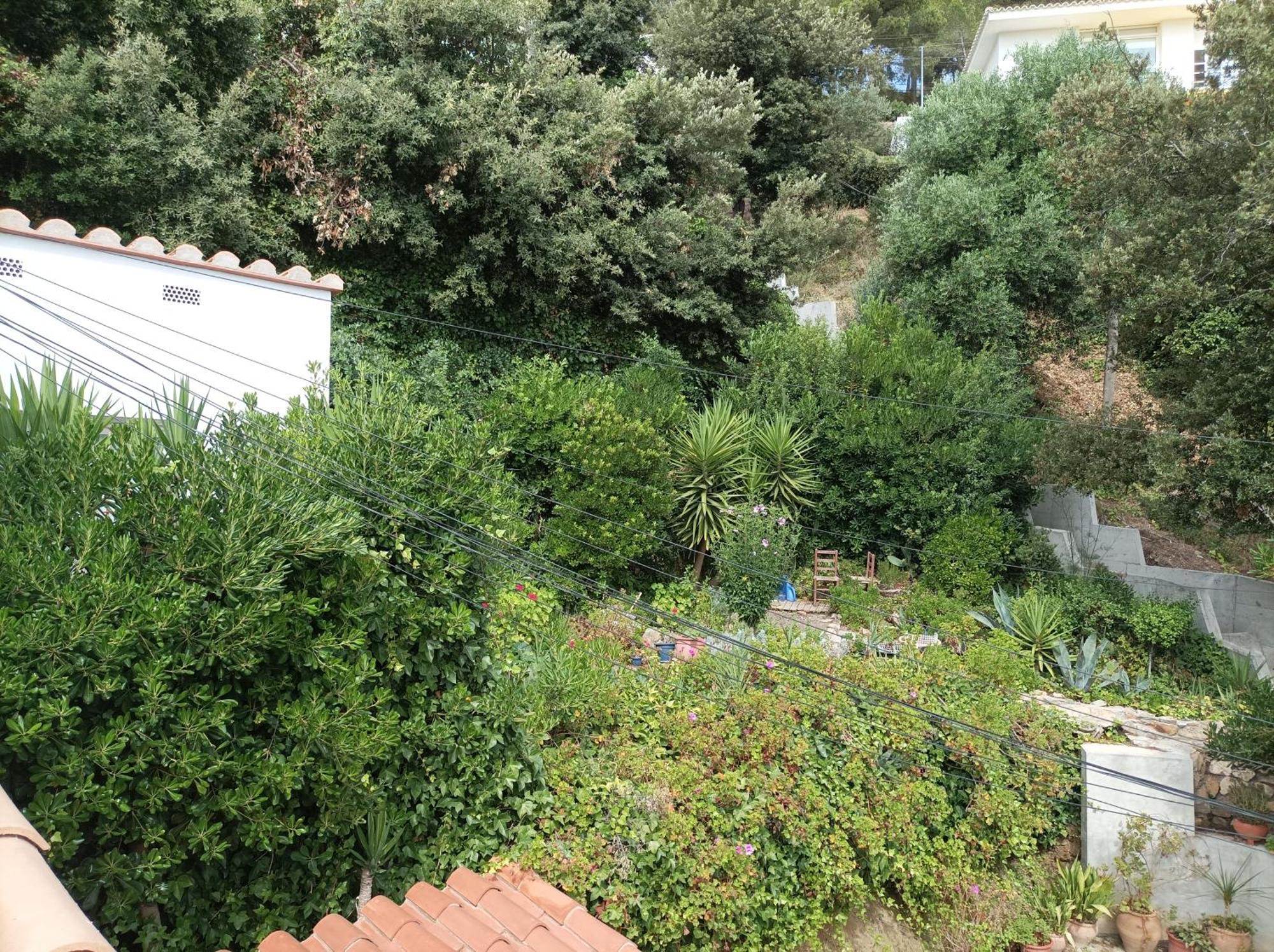 "La Terrasse De La Mer 8" -Climatisation-Wifi-Bbq -Piscine-Parking Begur Eksteriør bilde
